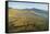 Aerial View of the Dalyan Delta, Turkey, August 2009-Zankl-Framed Stretched Canvas