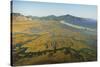 Aerial View of the Dalyan Delta, Turkey, August 2009-Zankl-Stretched Canvas