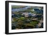 Aerial View of the Field Museum and Soldier Field, Chicago, Cook County, Illinois, Usa-null-Framed Photographic Print