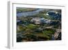 Aerial View of the Field Museum and Soldier Field, Chicago, Cook County, Illinois, Usa-null-Framed Photographic Print