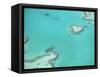 Aerial View of the Great Barrier Reef, Queensland, Australia-null-Framed Stretched Canvas