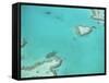 Aerial View of the Great Barrier Reef, Queensland, Australia-null-Framed Stretched Canvas