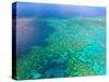 Aerial View of the Great Barrier Reef, Queensland, Australia-Miva Stock-Stretched Canvas