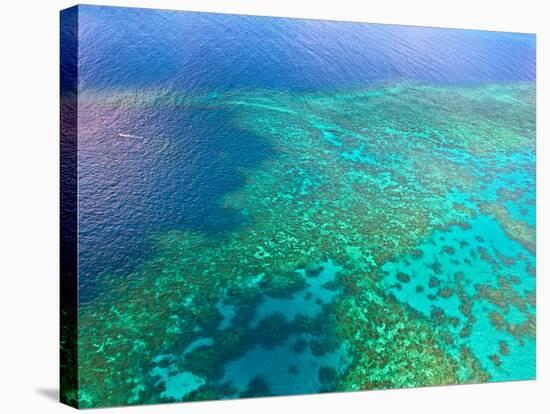 Aerial View of the Great Barrier Reef, Queensland, Australia-Miva Stock-Stretched Canvas