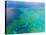 Aerial View of the Great Barrier Reef, Queensland, Australia-Miva Stock-Stretched Canvas