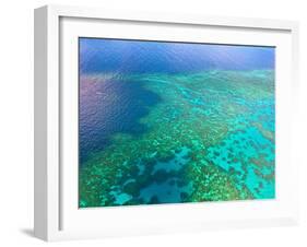 Aerial View of the Great Barrier Reef, Queensland, Australia-Miva Stock-Framed Premium Photographic Print