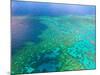 Aerial View of the Great Barrier Reef, Queensland, Australia-Miva Stock-Mounted Photographic Print