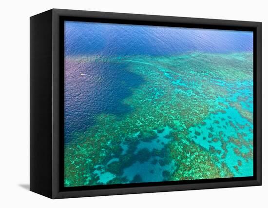 Aerial View of the Great Barrier Reef, Queensland, Australia-Miva Stock-Framed Stretched Canvas