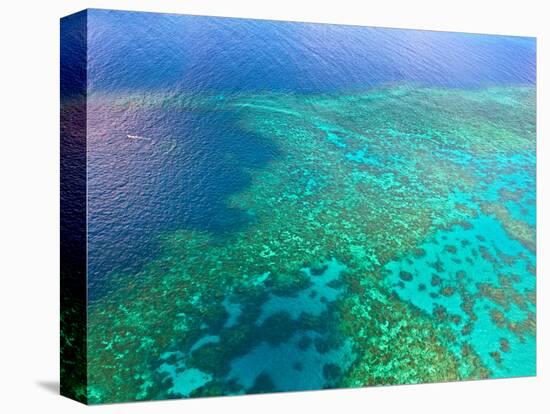 Aerial View of the Great Barrier Reef, Queensland, Australia-Miva Stock-Stretched Canvas
