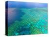 Aerial View of the Great Barrier Reef, Queensland, Australia-Miva Stock-Stretched Canvas