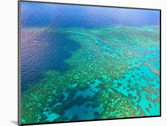 Aerial View of the Great Barrier Reef, Queensland, Australia-Miva Stock-Mounted Photographic Print