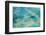 Aerial View of the Great Barrier Reef, Queensland, Australia-Peter Adams-Framed Photographic Print