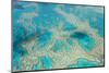 Aerial View of the Great Barrier Reef, Queensland, Australia-Peter Adams-Mounted Photographic Print