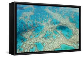 Aerial View of the Great Barrier Reef, Queensland, Australia-Peter Adams-Framed Stretched Canvas