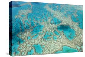 Aerial View of the Great Barrier Reef, Queensland, Australia-Peter Adams-Stretched Canvas