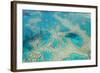 Aerial View of the Great Barrier Reef, Queensland, Australia-Peter Adams-Framed Photographic Print