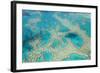 Aerial View of the Great Barrier Reef, Queensland, Australia-Peter Adams-Framed Photographic Print