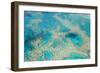 Aerial View of the Great Barrier Reef, Queensland, Australia-Peter Adams-Framed Photographic Print