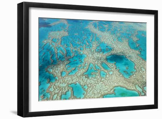 Aerial View of the Great Barrier Reef, Queensland, Australia-Peter Adams-Framed Photographic Print