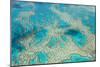 Aerial View of the Great Barrier Reef, Queensland, Australia-Peter Adams-Mounted Photographic Print