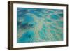 Aerial View of the Great Barrier Reef, Queensland, Australia-Peter Adams-Framed Photographic Print