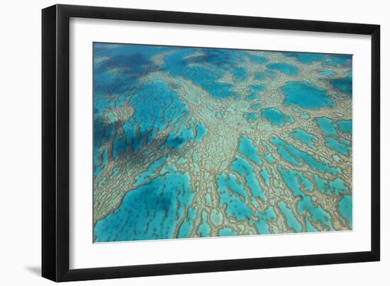 Aerial View of the Great Barrier Reef, Queensland, Australia-Peter Adams-Framed Photographic Print