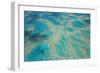 Aerial View of the Great Barrier Reef, Queensland, Australia-Peter Adams-Framed Photographic Print