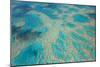 Aerial View of the Great Barrier Reef, Queensland, Australia-Peter Adams-Mounted Photographic Print