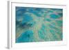 Aerial View of the Great Barrier Reef, Queensland, Australia-Peter Adams-Framed Photographic Print