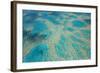 Aerial View of the Great Barrier Reef, Queensland, Australia-Peter Adams-Framed Photographic Print