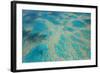 Aerial View of the Great Barrier Reef, Queensland, Australia-Peter Adams-Framed Photographic Print