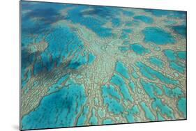 Aerial View of the Great Barrier Reef, Queensland, Australia-Peter Adams-Mounted Photographic Print