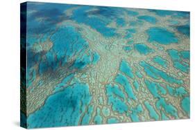 Aerial View of the Great Barrier Reef, Queensland, Australia-Peter Adams-Stretched Canvas