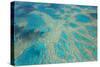 Aerial View of the Great Barrier Reef, Queensland, Australia-Peter Adams-Stretched Canvas