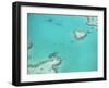 Aerial View of the Great Barrier Reef, Queensland, Australia-null-Framed Photographic Print