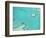 Aerial View of the Great Barrier Reef, Queensland, Australia-null-Framed Photographic Print