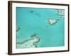 Aerial View of the Great Barrier Reef, Queensland, Australia-null-Framed Photographic Print