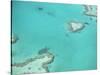 Aerial View of the Great Barrier Reef, Queensland, Australia-null-Stretched Canvas