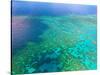 Aerial View of the Great Barrier Reef, Queensland, Australia-Miva Stock-Stretched Canvas