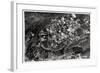 Aerial View of the Heights around Jerusalem, Palestine, from a Zeppelin, 1931-null-Framed Giclee Print