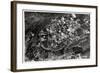 Aerial View of the Heights around Jerusalem, Palestine, from a Zeppelin, 1931-null-Framed Giclee Print