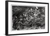 Aerial View of the Heights around Jerusalem, Palestine, from a Zeppelin, 1931-null-Framed Giclee Print