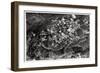 Aerial View of the Heights around Jerusalem, Palestine, from a Zeppelin, 1931-null-Framed Giclee Print