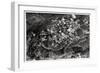 Aerial View of the Heights around Jerusalem, Palestine, from a Zeppelin, 1931-null-Framed Giclee Print