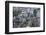 Aerial View of the Houses of Parliament and Westminster Abbey-Peter Barritt-Framed Photographic Print