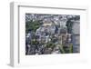 Aerial View of the Houses of Parliament and Westminster Abbey-Peter Barritt-Framed Photographic Print