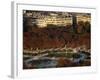 Aerial View of the Luxembourg Garden, Paris, France, Europe-Godong-Framed Photographic Print