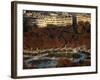 Aerial View of the Luxembourg Garden, Paris, France, Europe-Godong-Framed Photographic Print