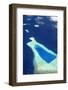 Aerial View of the Maldives, Indian Ocean, Asia-Sakis Papadopoulos-Framed Photographic Print