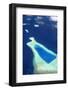 Aerial View of the Maldives, Indian Ocean, Asia-Sakis Papadopoulos-Framed Photographic Print